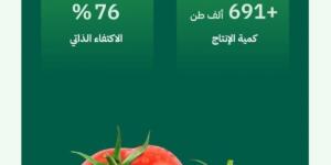 البيئة: إنتاج محلي متنامٍ من الطماطم يفوق 691 ألف طن بنسبة اكتفاء ذاتي تجاوزت 76%