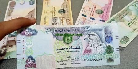 سعر الدرهم الاماراتى فى البنوك المصرية اليوم الاربعاء