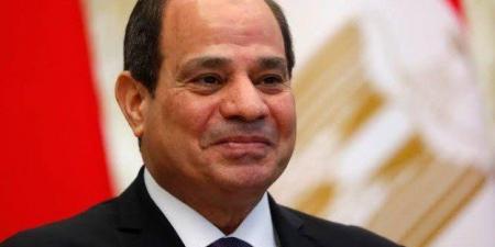 الرئيس السيسي يشيد بدور الشعب المصري وتماسكه وقوة مؤسسات الدولة