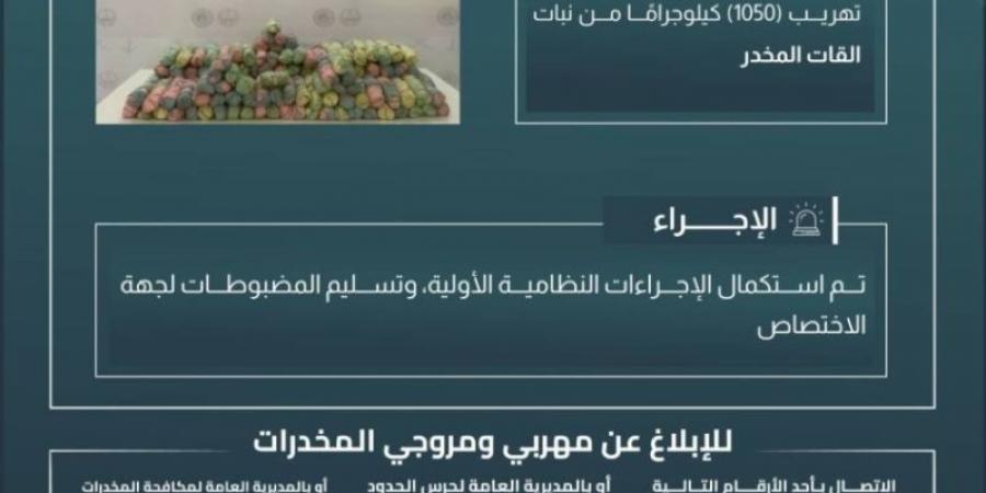 حرس الحدود بعسير يحبط تهريب (1050) كيلوجرامًا من القات المخدر