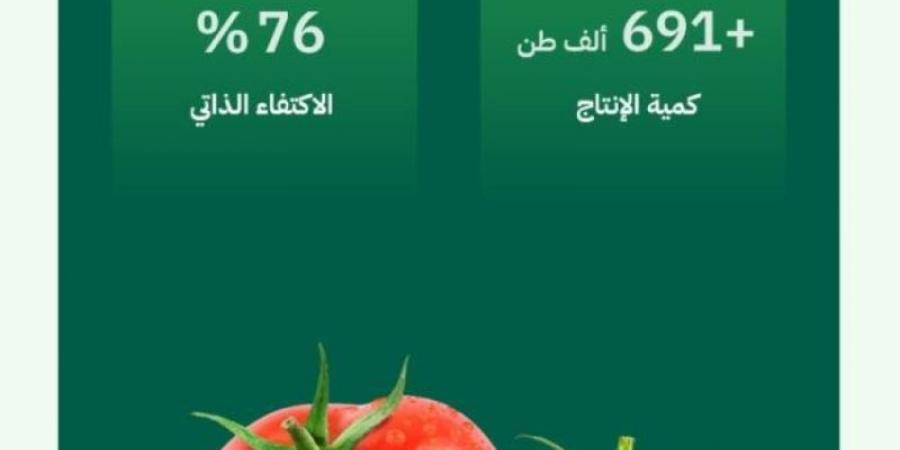 البيئة: إنتاج محلي متنامٍ من الطماطم يفوق 691 ألف طن بنسبة اكتفاء ذاتي تجاوزت 76%