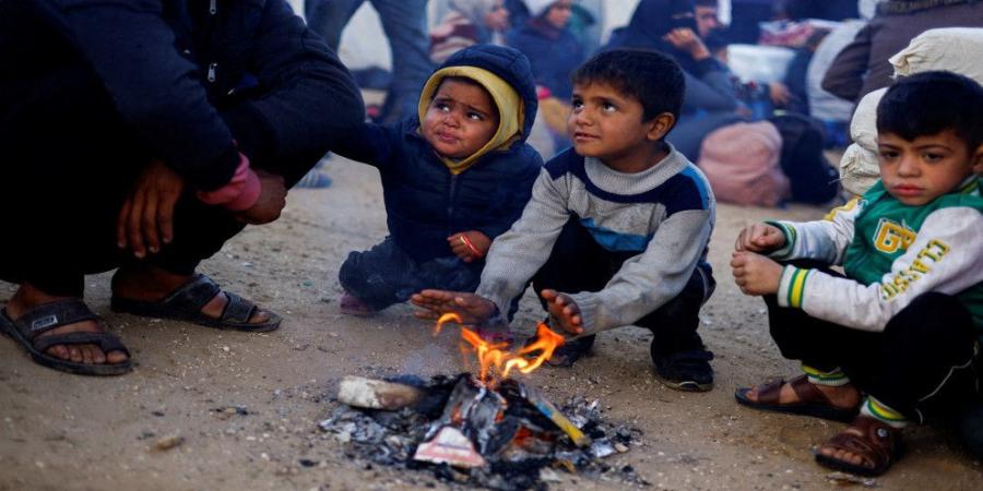 تحقيق أممي: إسرائيل دمرت جزئيا القدرة الإنجابية للفلسطينيين في غزة