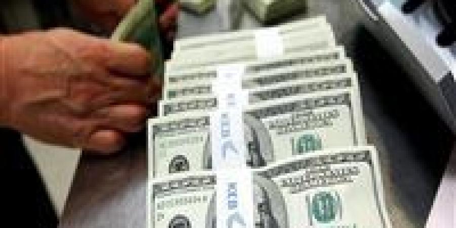 سعر الدولار مقابل الجنيه المصري خلال تعاملات اليوم