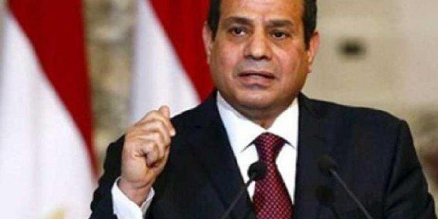 الرئيس السيسي: مصر تتحرك بخطوات ثابتة ومدروسة في كل المجالات