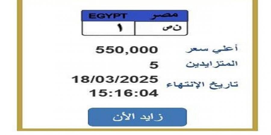 رقمها «ن ص 1».. التزايد على لوحة سيارة مميزة ينتهي غدًا